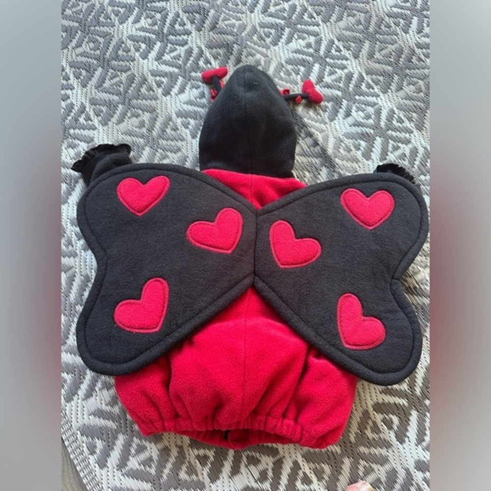 Old Navy Red and Black Ladybug Kids Costume